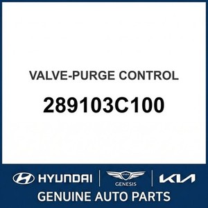 Nouvelles pièces et accessoires pour voitures et camions 289103C100 - Product Image 1