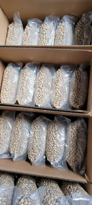 BAJO PRECIO SACHA SACHI INCHI TUERCA HACER ACEITE DE VIETNAM/Sra. Lima - Product Image 4