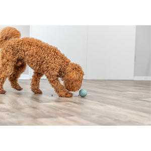 Dog Activity Laberinto Snacks 6 cm Pelota <b>Pet</b> <b>Interactive</b> & Movement <b>Toys</b> - Product Image 2