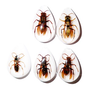 Yellow Paper Wasp Real Specimen Plastic Cabochon Pear Shape Cut <b>Top</b> 33x22 mm White Flat Bottom for Crafts and Jewelry Making - Product Image 5