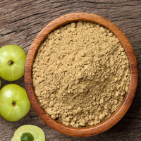 Groothandel Amla Fruitextract Natuurlijk Kruidenpoeder Nutraceutisch Ingrediënt Fabrikant Leverancier