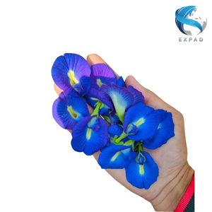 Flores de Mariposa Secas a Granel Estándar, Pétalos Azules Naturales, Té Herbal Adelgazante, Procesamiento de Bebidas, Venta al por Mayor, Suministro de Vietnam - Product Image 2