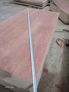 Contreplaqué d'intérieur E1 écologique résistant à l'eau de première qualité, placage Okoumé Bintangor et bois de tilleul, fabriqué au Vietnam - Product Image 5