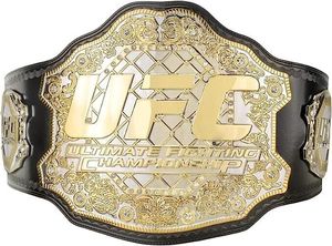 Ceinture de championnat de lutte poids lourd personnalisée en laiton et zinc, modèle 2026, très demandée pour le karaté, le taekwondo et le judo - Product Image 2