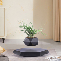 Pot de Fleur Magnétique Flottant Lévitant Intelligent Personnalisé de Haute Qualité pour Décoration d'Intérieur Moderne de Jardin et Succulentes