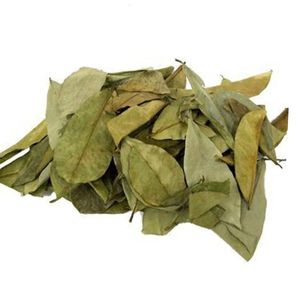 Feuilles de corossol séchées en vrac du Vietnam |   Ingrédients de tisanes naturelles |   Séché au soleil |   Emballé sous vide |   Anna - Product Image 2