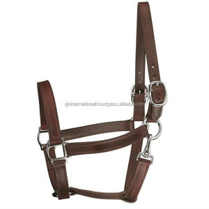 Licou de cheval en cuir durable avec bandeau nasal et cou rembourrés en cuir souple avec matériel en laiton Équipement personnalisé OEM et ODM - Product Image 6