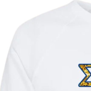 Sweat-shirt personnalisé à sequins brodés effet faux pour femmes, motif lettres grecques Sigma Gamma Rho, col rond, manches longues, pull décontracté pour sororité - Product Image 5