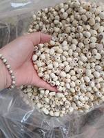 Graines de fleur de lotus de qualité supérieure destinées à l'exportation du Viet Nam