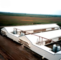Poulailler en structure acier préfabriquée, moderne et commercial, pour l'élevage de poulets de chair, avec une bonne ventilation et une isolation thermique