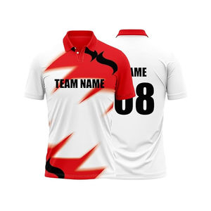 Ensemble d'uniformes de cricket sur mesure les plus vendus, impression du logo et du nom de l'équipe, maillots de cricket pour garçons, tissu respirant 100% polyester - Product Image 1