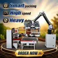 Machine d'emballage entièrement automatique brevetée ZX450 - Emballage haute vitesse de sacs en plastique pour l'alimentation et les produits chimiques
