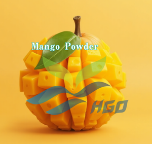 โรงงาน HGO จัดจำหน่ายผงมะม่วงแท้ธรรมชาติ (เกรดอาหาร) ผงผลไม้ (ผงผลไม้อบแห้งแบบแช่เยือกแข็ง) - Product Image 2