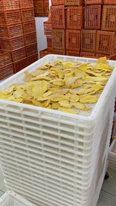 Mango Deshidratado al por Mayor - 100% Natural, Textura Suave, Larga Vida Útil, Suministro Directo de Fábrica, Etiqueta Personalizable - Caryln - Product Image 4