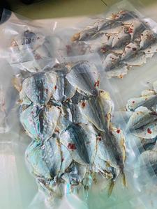 Pescado Seco Scad con Rayas Amarillas de Alta Calidad, Suministro a Granel, Precio Competitivo, Global // Evan - Product Image 3