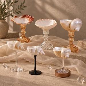 Vaso de cristal pulido con diseño de concha marina para recuerdos de boda y mesas de recepción, con estructura de cristal y ribete de concha, de Vietnam Trade - Product Image 1