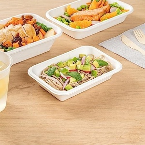 Boîte alimentaire en bagasse de canne à sucre, emballage biodégradable 1000 ml, pour échantillons de snacks secs, anti-fuite, couvercle non blanchi, boîtes de fête - Product Image 1