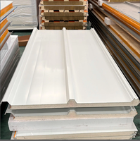 Construction de Chambres Froides : Panneaux Muraux et de Toiture Sandwich en PU 75mm-200mm, Résistants au Feu, Écologiques, Installation Facile, Commande en Gros
