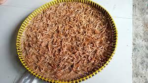 Premium Vietnamese Dried <b>Baby</b> Shrimp | Natural Sun-Dried | Flavored Roasted | Skinless Blended | 10kg Bag | Export Quality | - Product Image 6