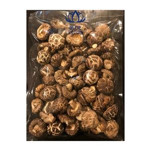 เห็ดชิตาเกะแห้งคุณภาพสูง ผลิตภัณฑ์เกษตรยั่งยืน ขายส่ง - Product Image 1