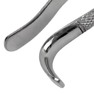 Pinzas de Extracción Dentales Americanas # Extractor de Dientes Quirúrgico Manual de Acero Inoxidable para Molares Inferiores 1 y 2, con Empuñadura Ergonómica - Product Image 5