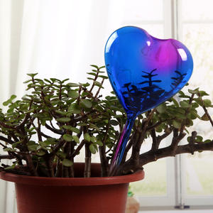 Globe en verre fait main en forme de cœur d'oiseau, <span class=keywords><strong>arroseur</strong></span> <span class=keywords><strong>automatique</strong></span> pour plantes d'<span class=keywords><strong>intérieur</strong></span> en pot - Product Image 2