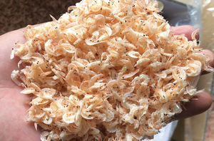 Dried Baby <b>Shrimp</b> Food Grade for Cooking and Seasoning Ingredients - Product Image 5