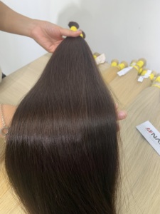 Extensiones de Cabello Virgen Vietnamita de Lujo 100% Naturales con Brillo Natural, Liso Natural, Tono Marrón - Product Image 1