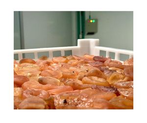 Fournisseur de fruit de la passion séché de qualité supérieure du Vietnam - Fruit de la passion séché naturel et sucré pour l'industrie des collations saines - Product Image 1