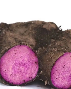 PREMIUM UBE <b>POWDER</b> – NATURAL COLOR, FINE TEXTURE, <b>BULK</b> SUPPLY AVAILABLE - Product Image 1