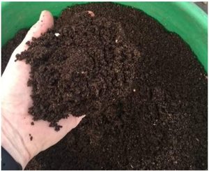 Arya Digital Pure <b>Cow</b> Dung Organic Fertilizer Natural Soil Enrichment Madhya Pradesh for Healthy Plants Sustainable Gardening - Product Image 2
