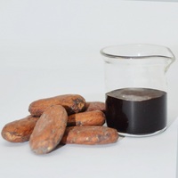 Extrait de cacao / Beurre naturel frais Huile aromathérapeutique-CO2 (CC-001) Van Aroma