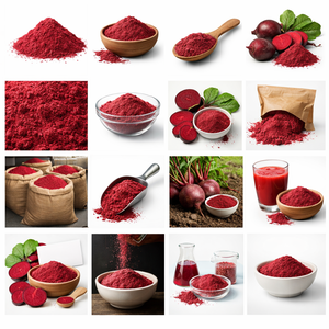 Dehydrated Beet Seed Powder 99% Natural Color <b>Extract</b> Food Grade for Food Processing Drum Bottle OEM Private Label Export India - Product Image 6