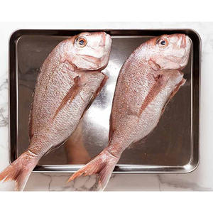 Poisson Rouge de Haute Qualité Biologique Premium Entier avec Peau Congelé Origine États-Unis Emballage en Gros - Product Image 5