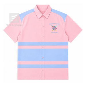 Chemise boutonnée personnalisée Gamma Phi Delta avec logo brodé sur le devant, rayée rose et bleu ciel, pour vêtements grecs féminins. - Product Image 1