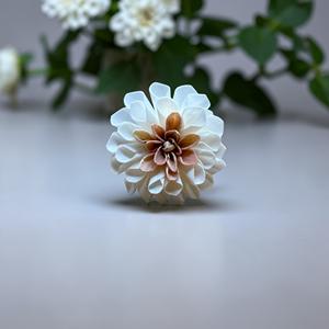 ดอกไม้ไม้โซล่า ยี่ห้อ VADEE SOLA WOOD FLOWER ทำมือ  ดอกดาเลียสีพีชครีม  ขนาด 8.5 ซม.  แกนไฟเบอร์เซสบานียา - Product Image 3