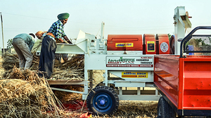 Batteuse à blé Landforce 32 pouces 3 lames - Product Image 2