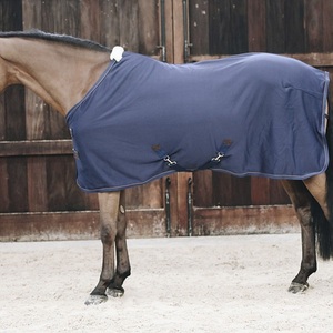 Couverture d'extérieur pour cheval en tissu Oxford bleu, col standard, 2 sangles de fixation, accessoires en acier inoxydable, utilisation extérieure toutes saisons, fabricant - Product Image 3