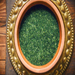 Compléments en poudre de spiruline de qualité pharmaceutique à 60 % certifiés GMP Fittree International, culture artificielle, riche en protéines - Product Image 5
