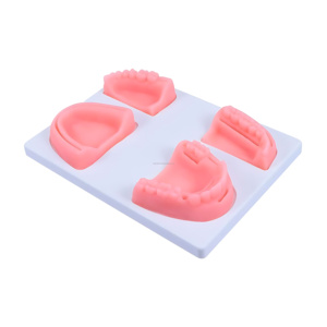 Almohadilla de Entrenamiento de Sutura Dental Veterinaria, Modelo Anatómico de Silicona 3D para Práctica, Instrumentos Veterinarios, Proveedor Mayorista - Product Image 1