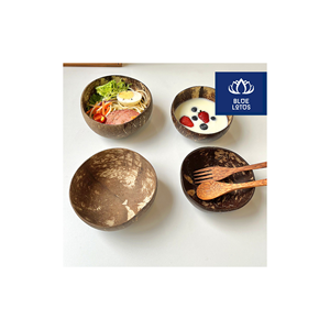 Bol en coque de noix de coco écologique, approuvé par les clients, sûr et propre, article végétal pur, idéal pour servir des soupes et du riz, prix avantageux - Product Image 1