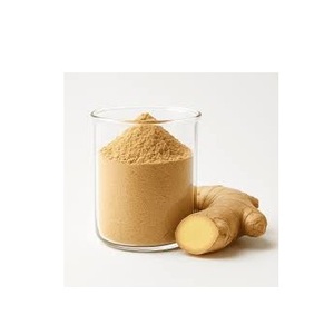 Extracto de Jengibre en Polvo 10% Gingeroles, Secado por Aspersión, Suplemento Herbal Natural Silvestre, Grado Alimenticio, Empaque a Granel, India - Product Image 2