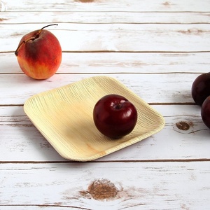 Hot Selling 10 Inches Square Biodegradable <b>Disposable</b> <b>Plates</b> for Sustainable Event Catering <b>Plates</b> for Snacks Starters Outdoor - Product Image 1