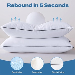 Wholesale TERRALOOM GLOBAL Modern Hotel Bedroom 100% Cotton Premium Quality <b>Bed</b> <b>Pillow</b> Solid White <b>Pillow</b> Case Cover High Neck - Product Image 3