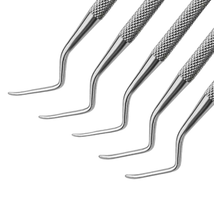 Juego de 5 Curetas de Doble Extremo de Acero Inoxidable, Instrumentos Quirúrgicos Dentales Manuales # 84- # Kit 88 - Product Image 4