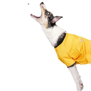 Yellow Mesh Animal Pattern Sport <b>Dog</b> Dresses Waterproof Portable Simple Design for Daily Use All Seasons Pet <b>Clothes</b> - Product Image 2