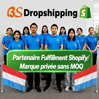 Agent de Traitement des Commandes Shopify en Dropshipping au Luxembourg |   Aucun MOQ, support de marque privée, entrepôt 3PL en Chine