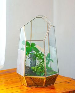 Terrarium décoratif personnalisé en métal et verre, jardinière moderne en verre pour plantes d'intérieur, succulentes, plantes aériennes et terrarium DIY - Product Image 4