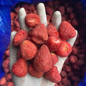 Fraises lyophilisées sélectionnées du Vietnam, matière première pure pour snacks, desserts, garnitures et ingrédients de pâtisserie - Product Image 1