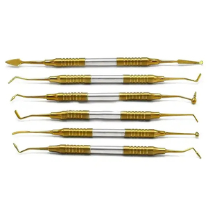Kit de 6 instruments dentaires en acier inoxydable pour le remplissage de ciment, spatules certifiées CE pour os – Vente en gros usine - Product Image 2